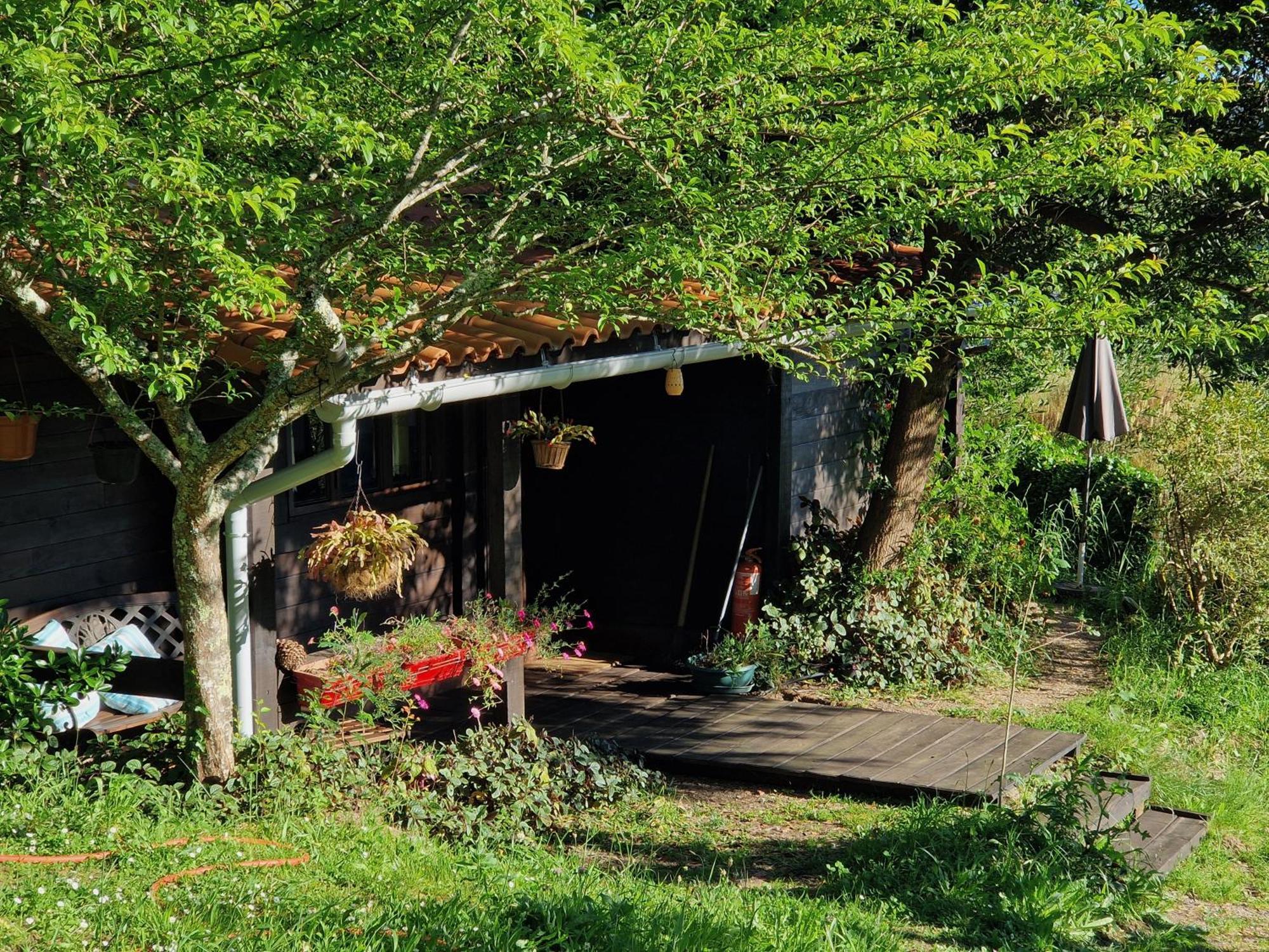 O Cantinho De Coura - A Cabana Paredes de Coura Ngoại thất bức ảnh
